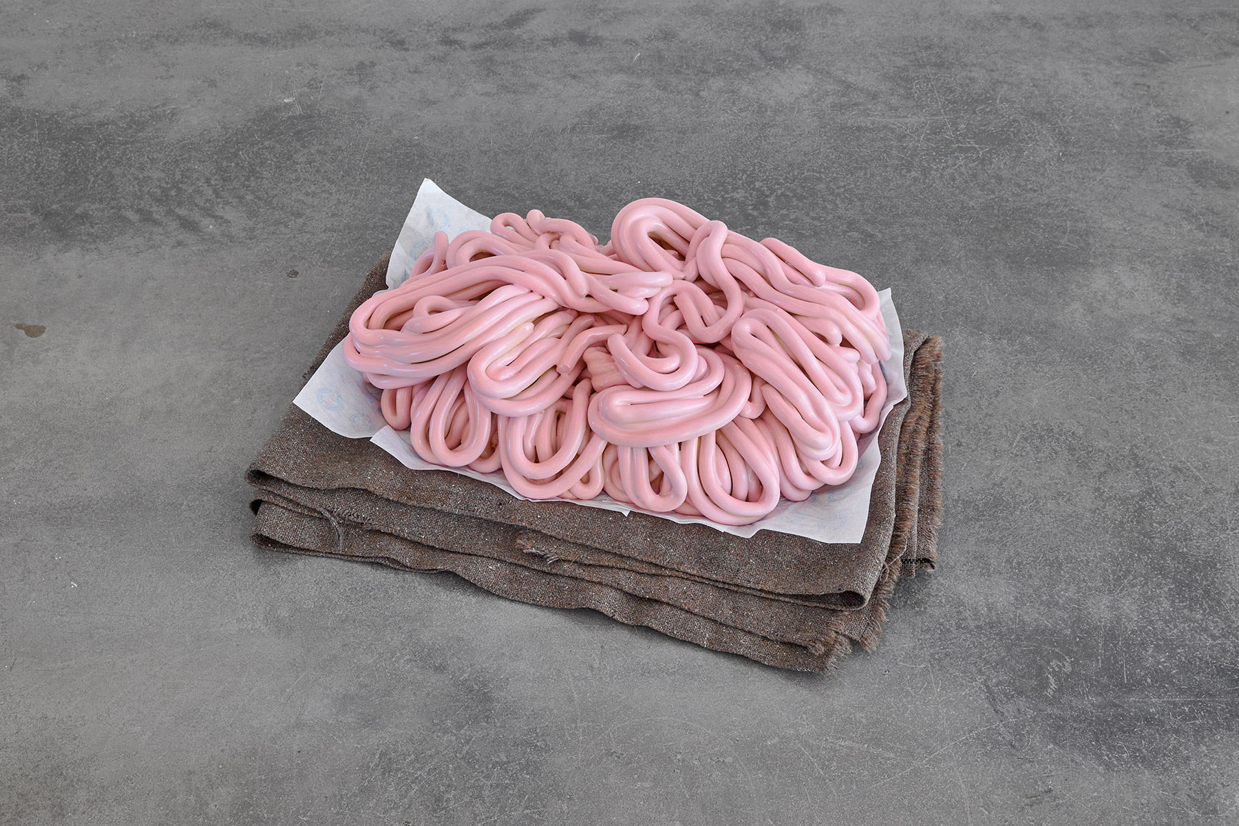 Cooking up bigger brains