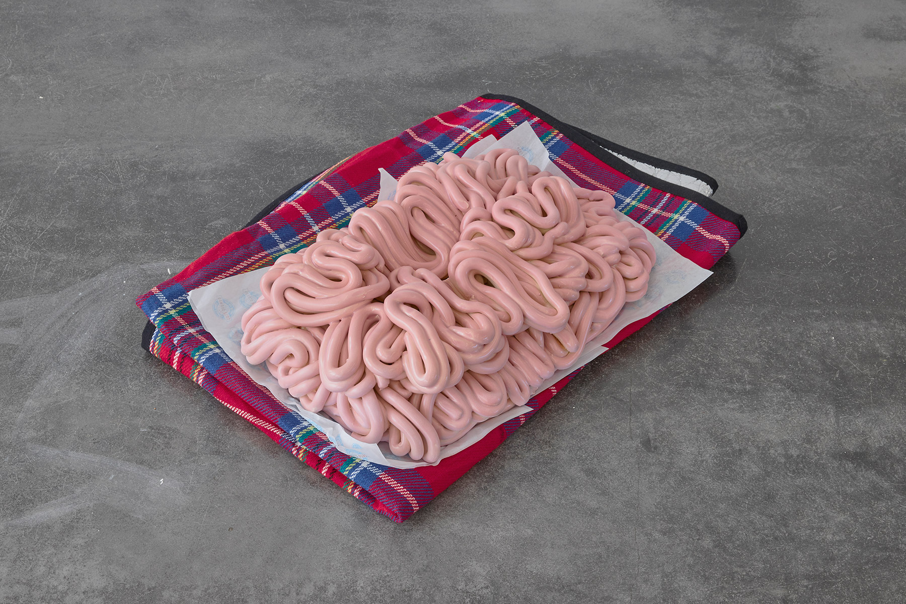 Cooking up bigger brains