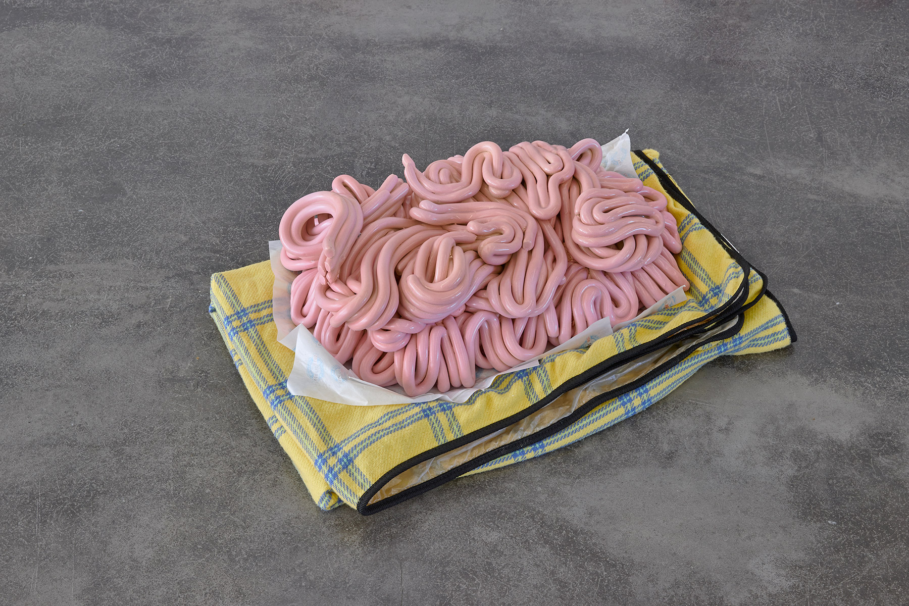 Cooking up bigger brains