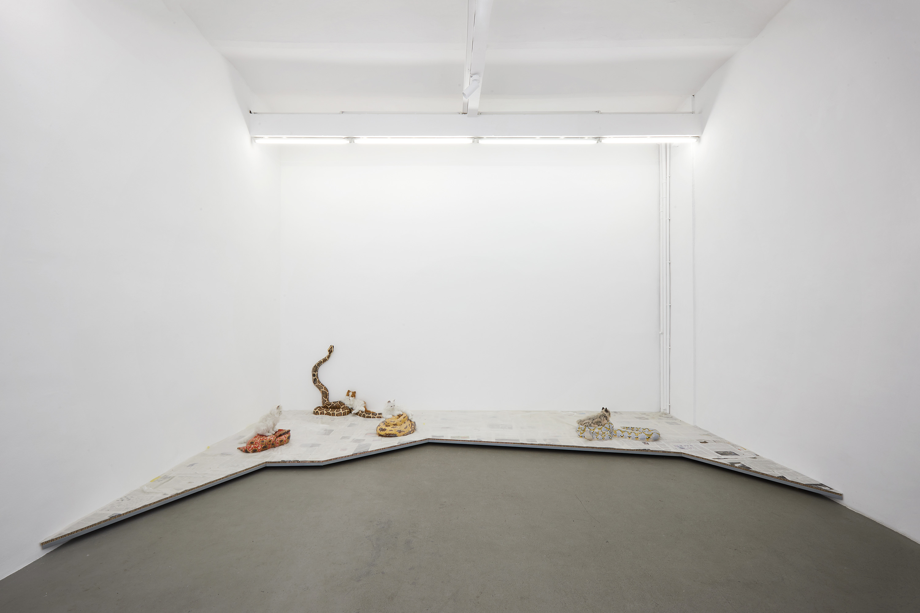 Prey and Protagonist