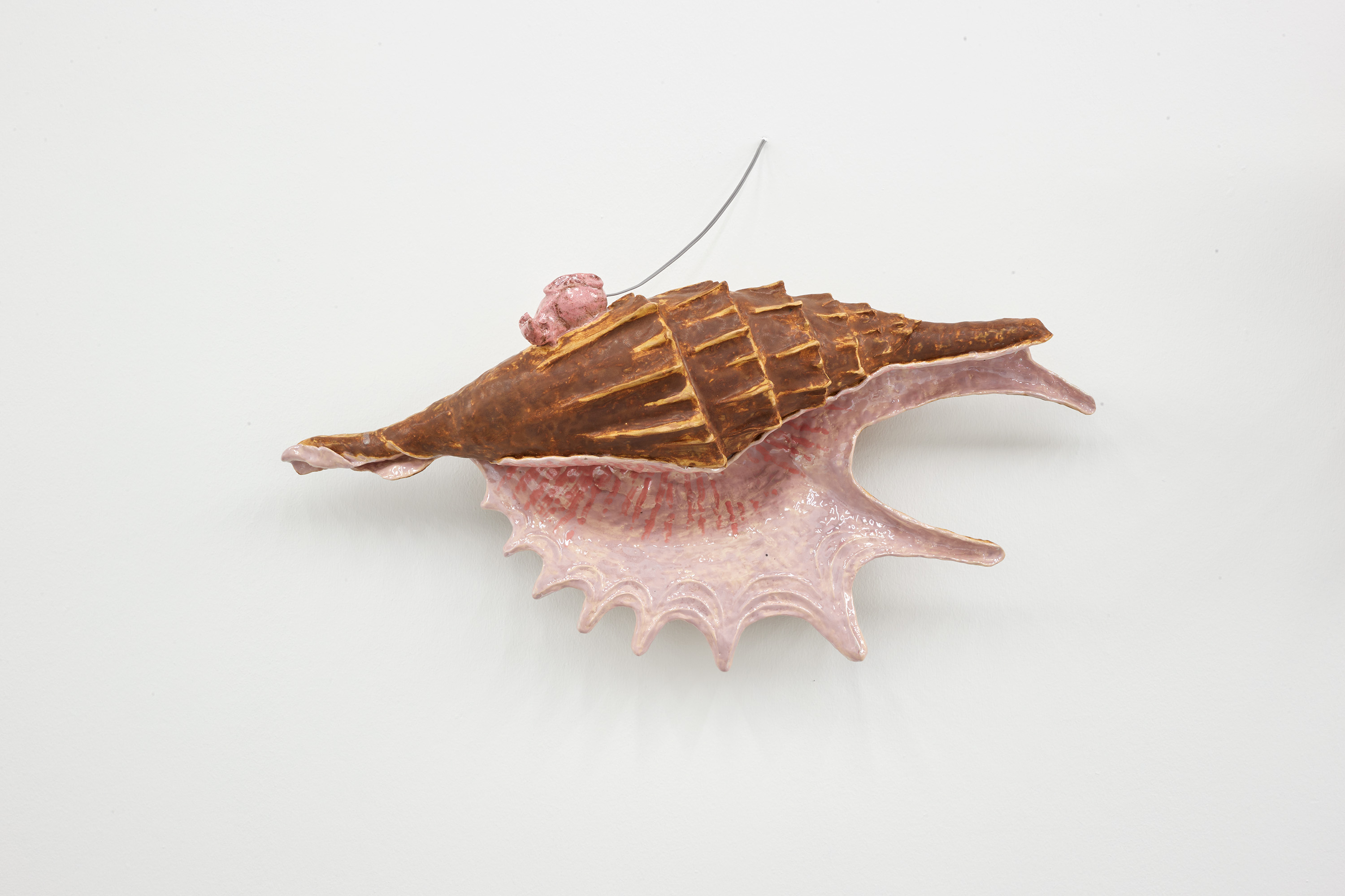 Earmouse (in seashell)
