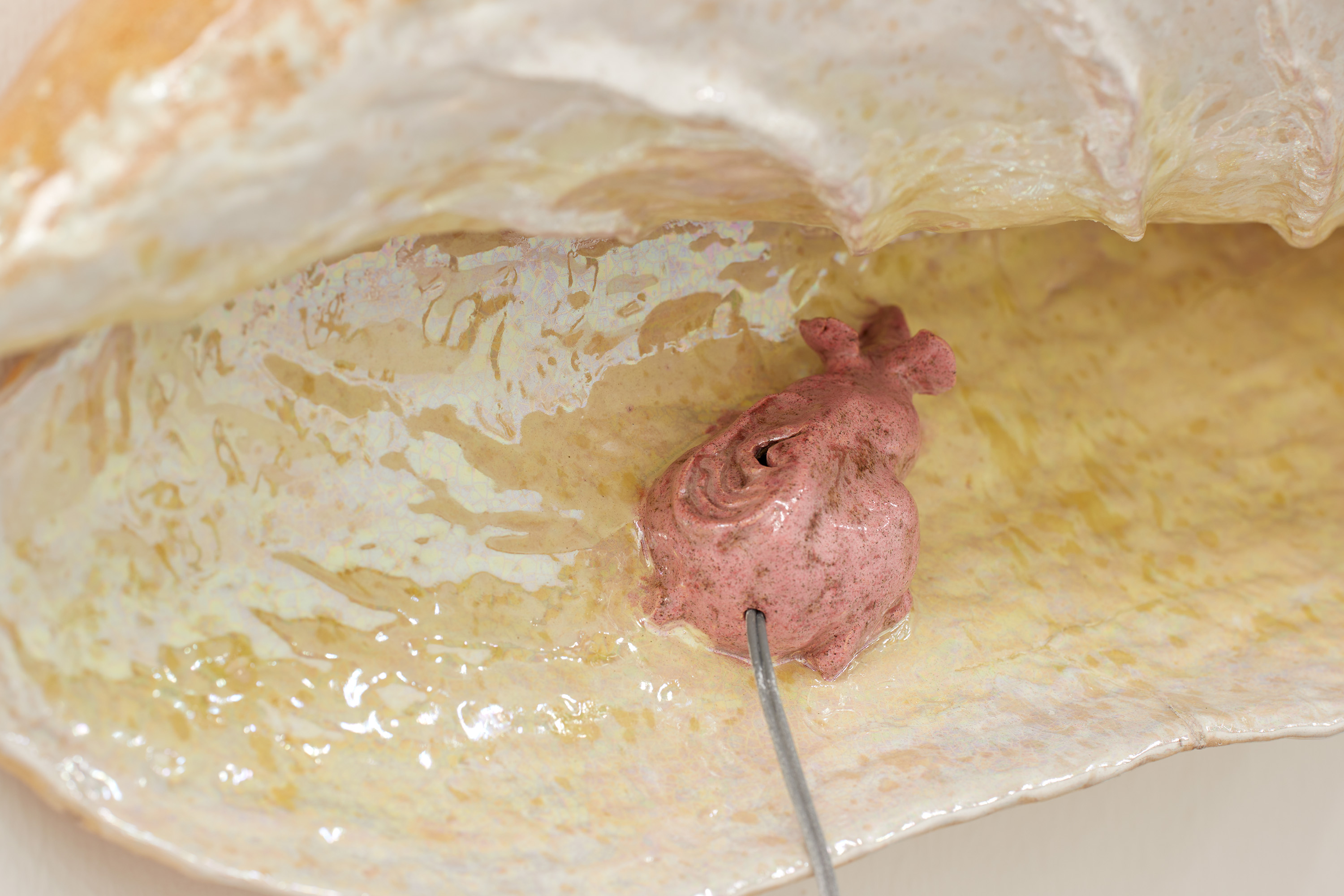 Earmouse (in seashell)