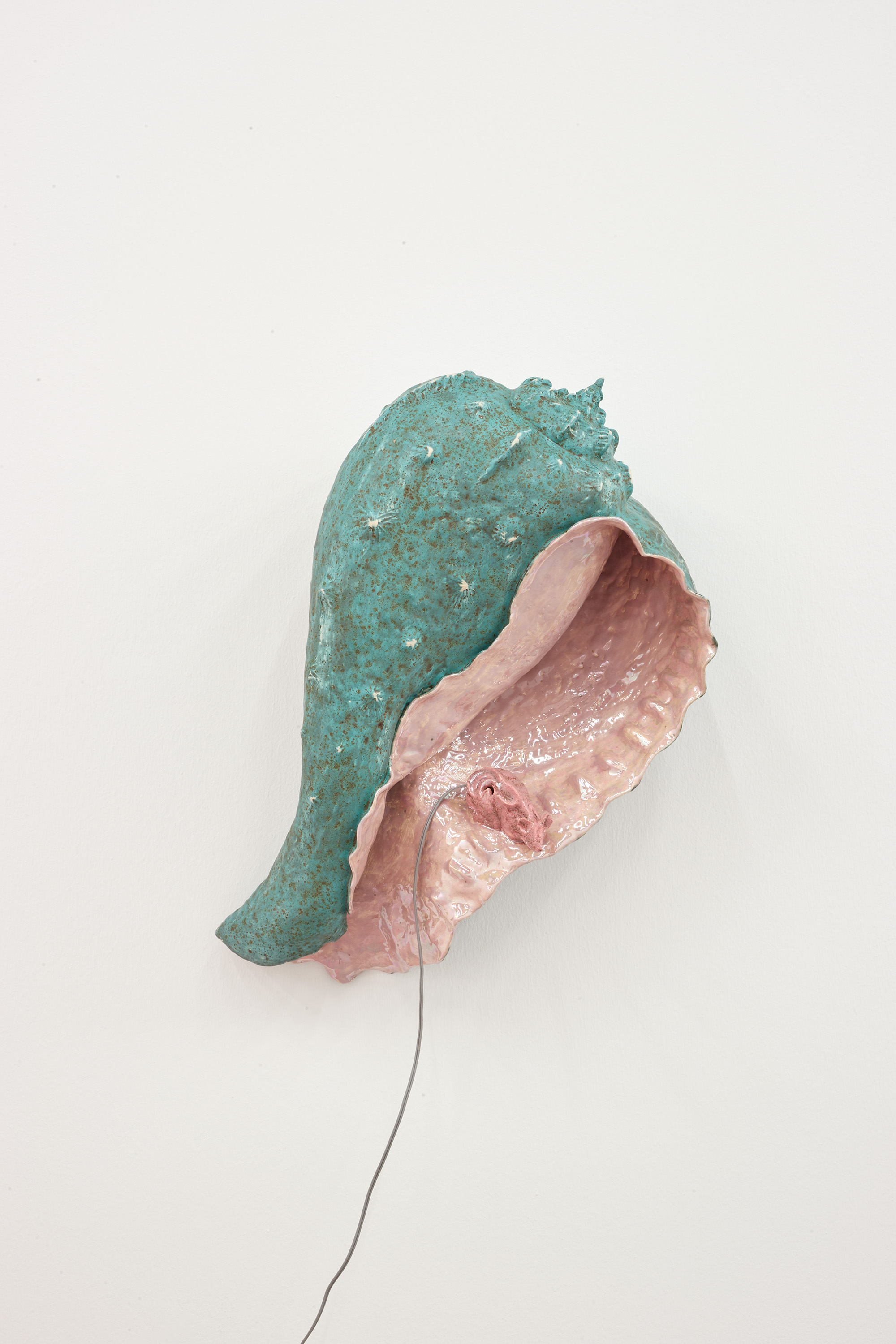 Earmouse (in seashell)