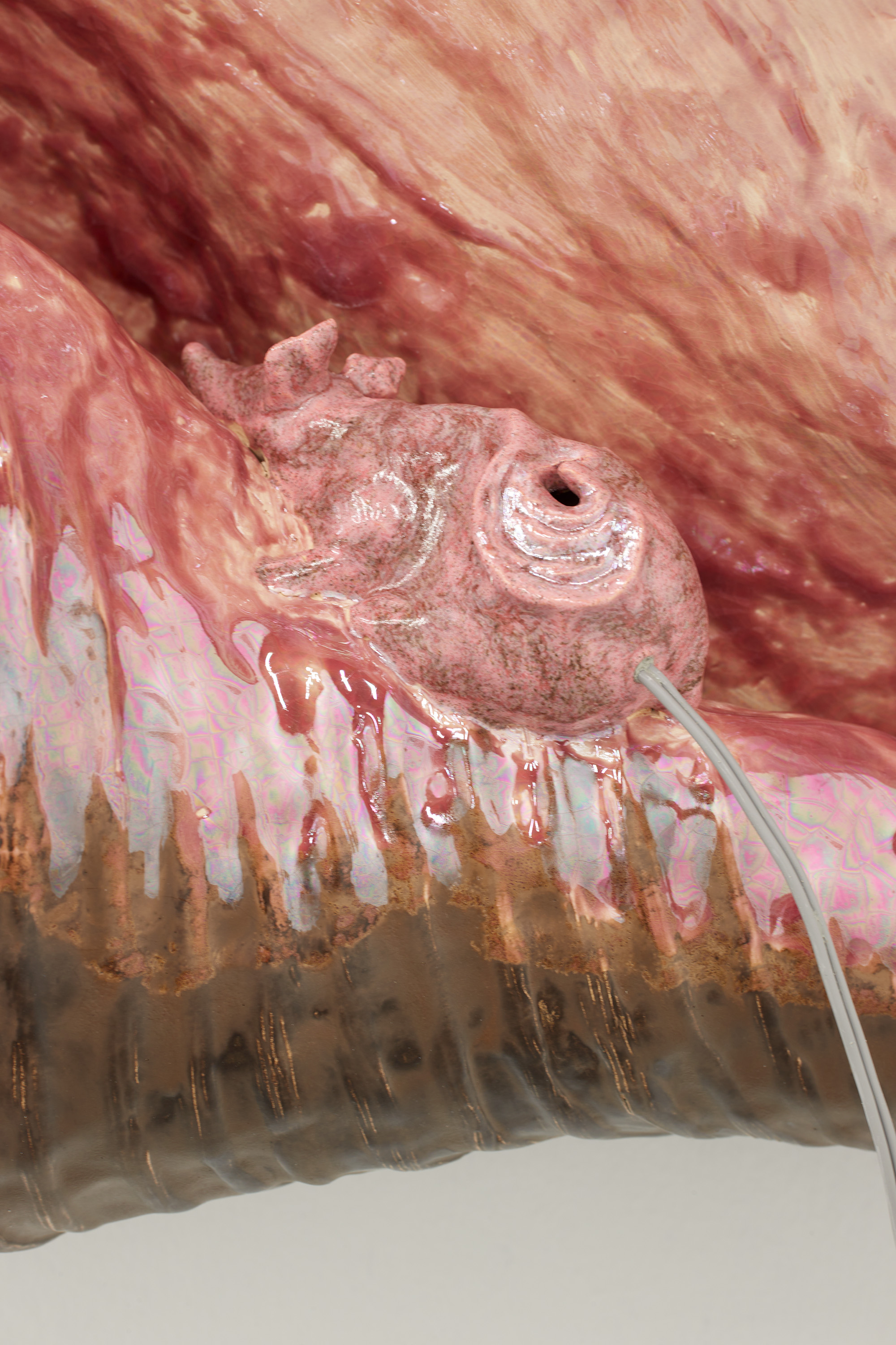 Earmouse (in seashell)