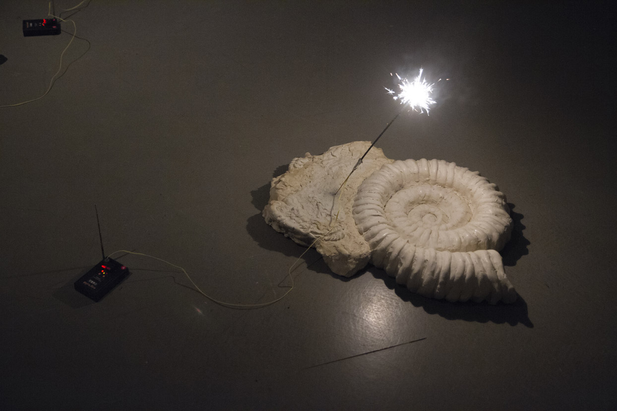 Fossil Feast