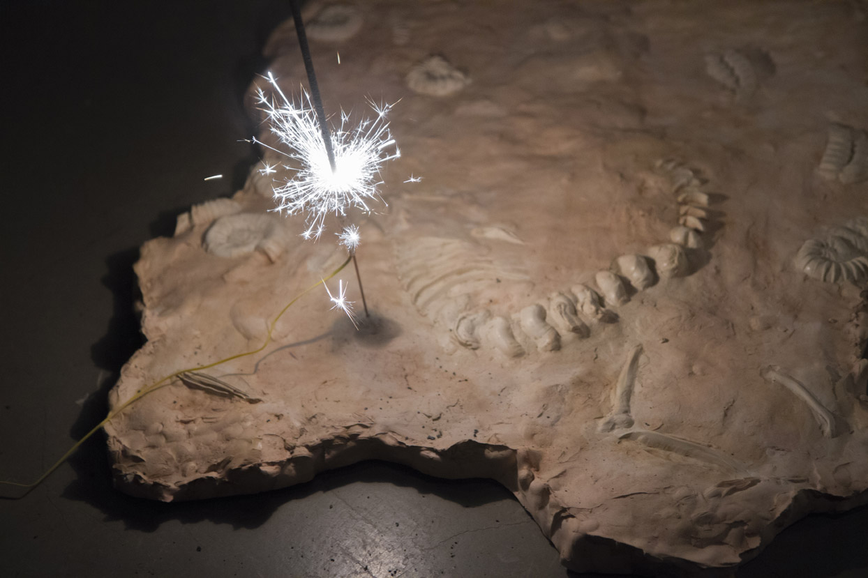 Fossil Feast