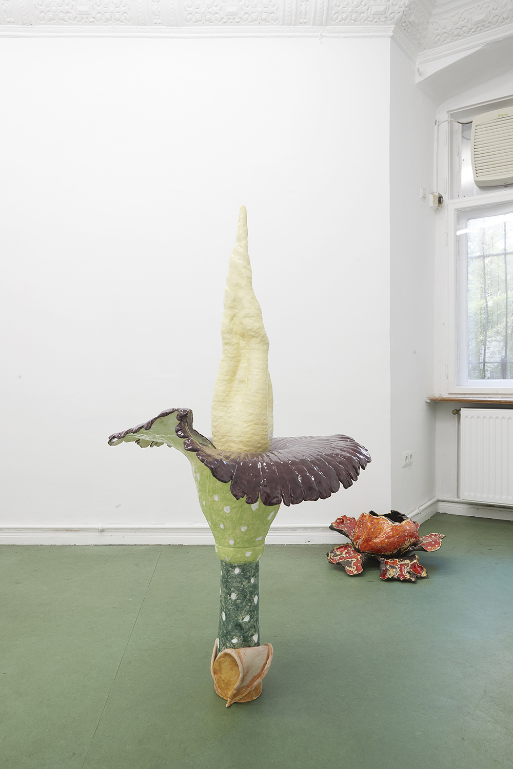 Corpse Flowers