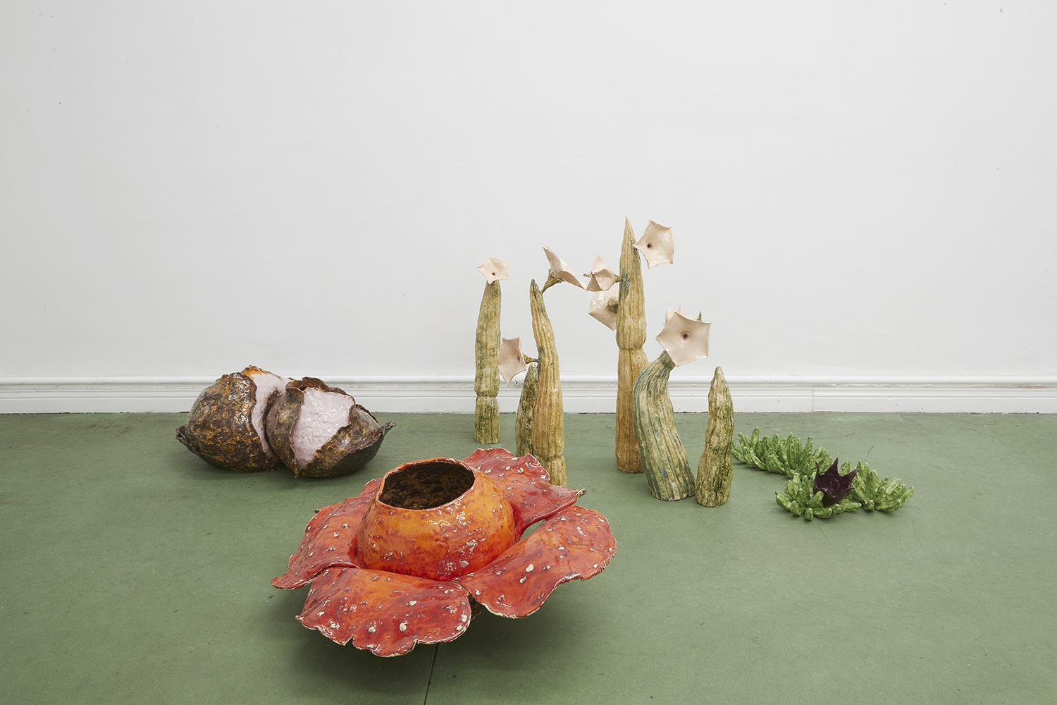 Corpse Flowers