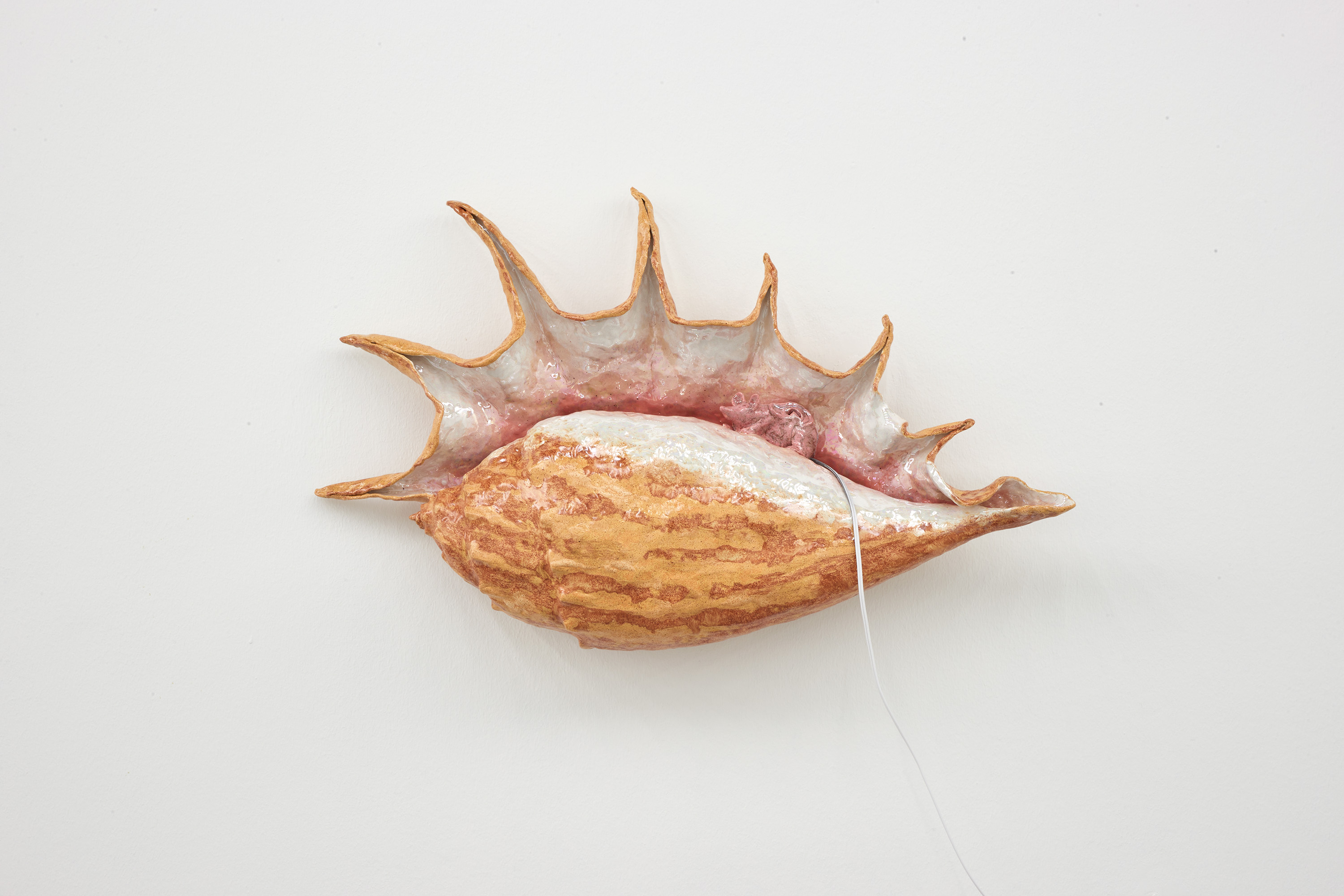Earmouse (in seashell)