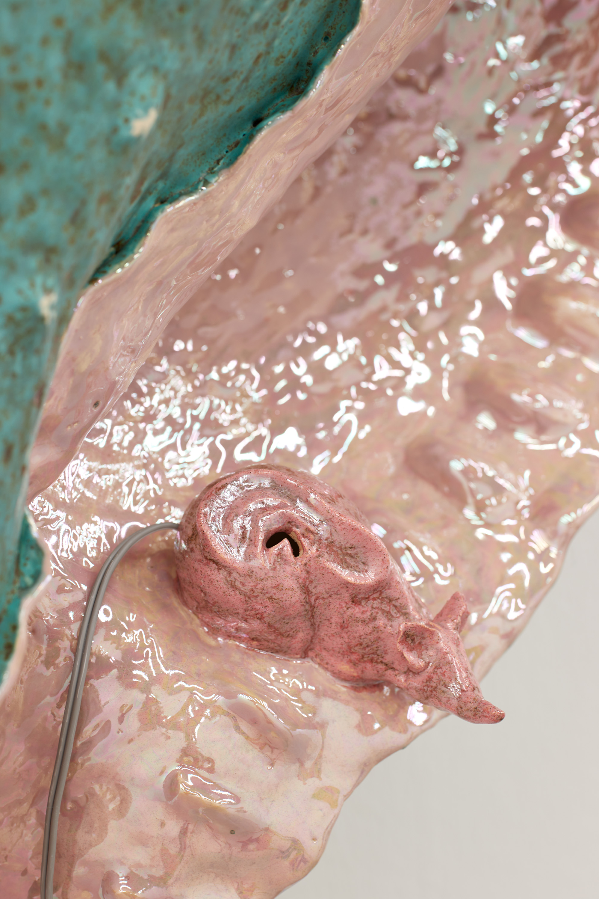 Earmouse (in seashell)