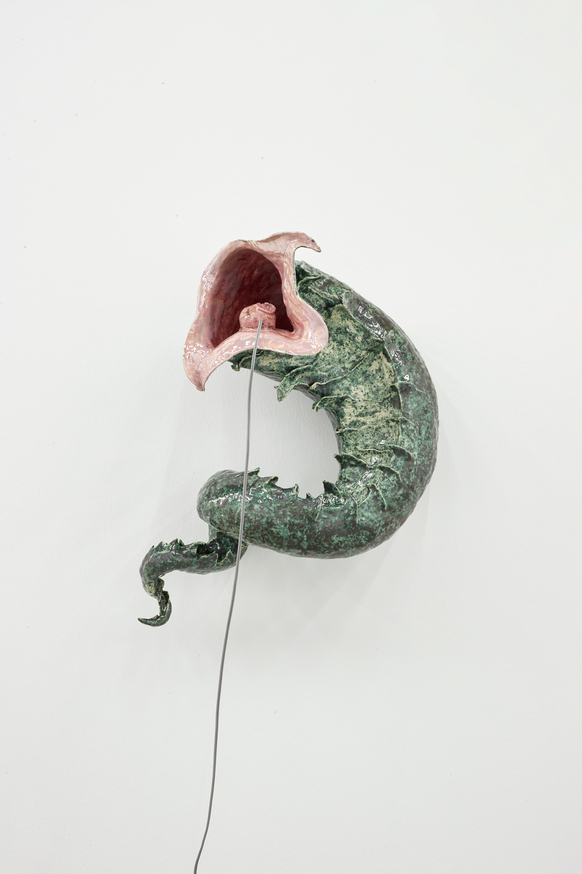 Earmouse (in seashell)