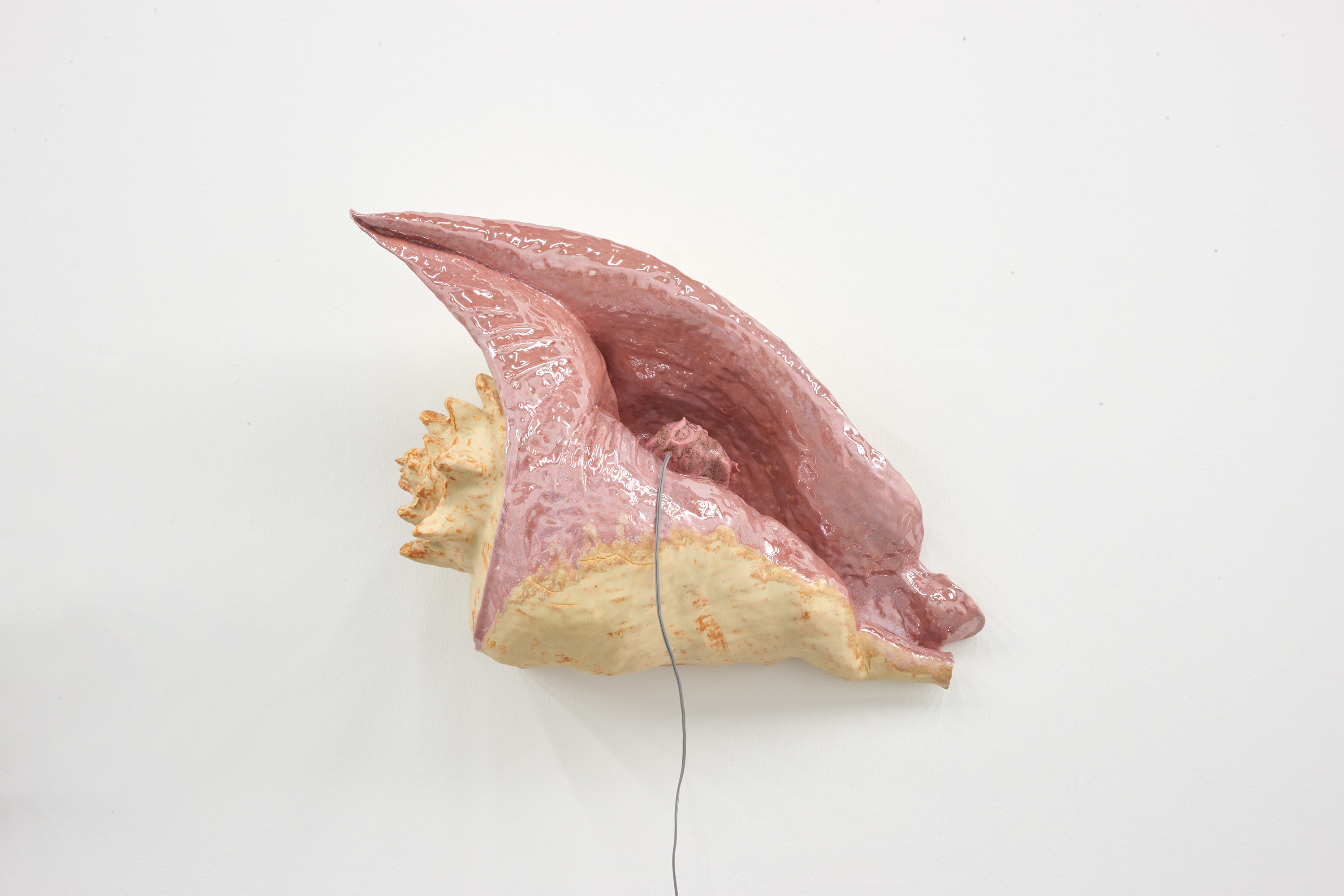 Earmouse (in seashell)