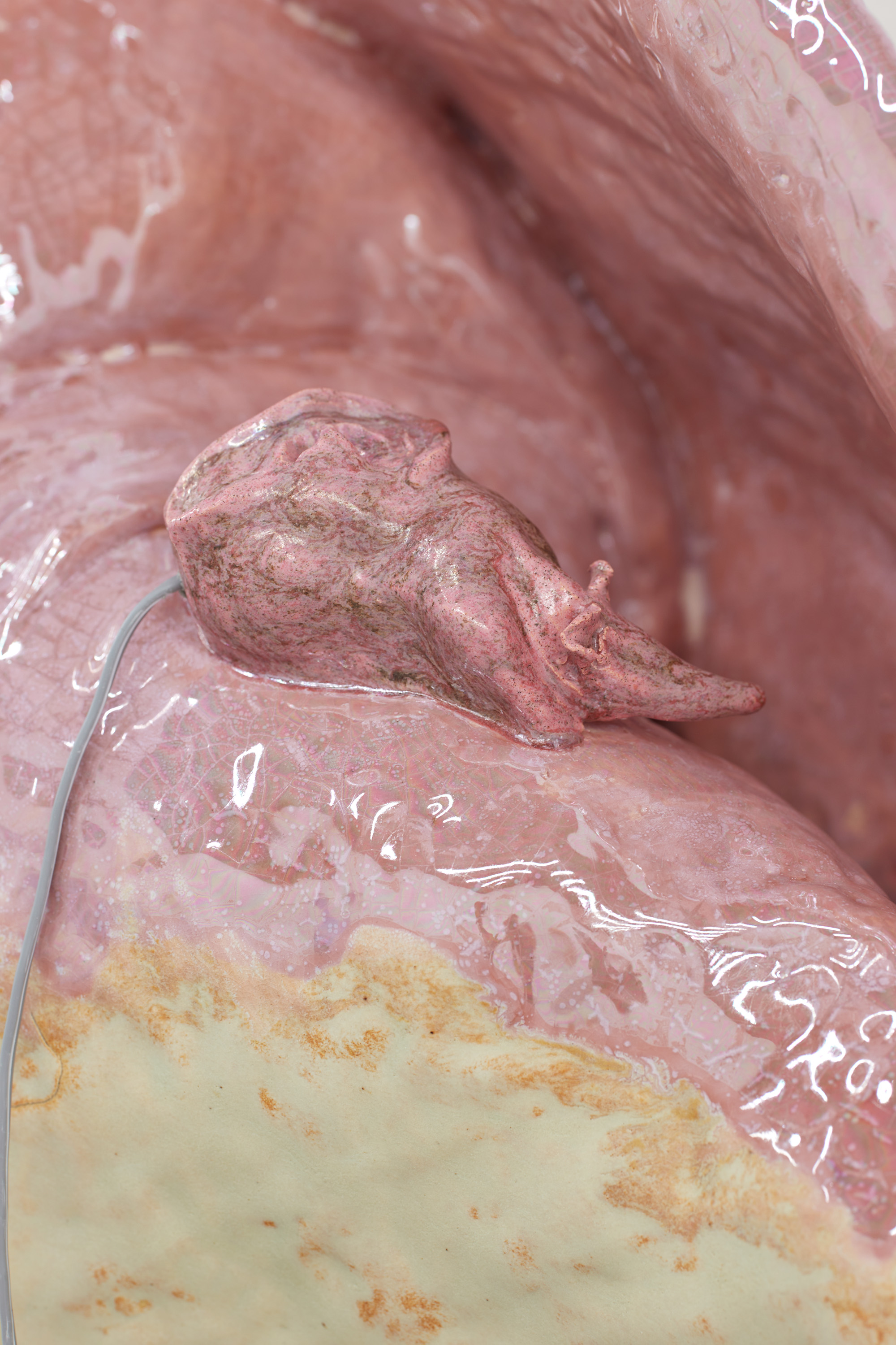 Earmouse (in seashell)