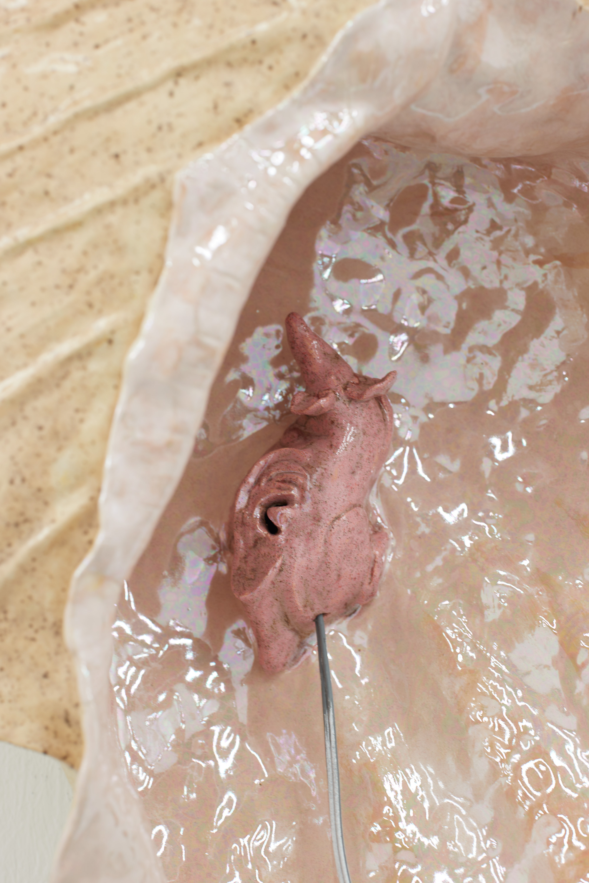 Earmouse (in seashell)