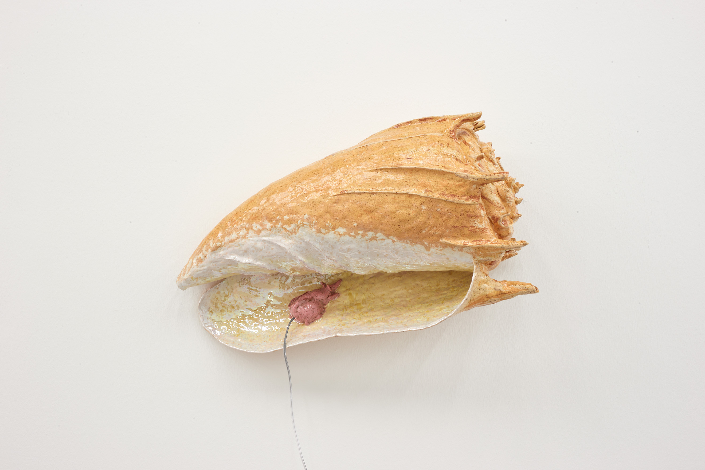 Earmouse (in seashell)