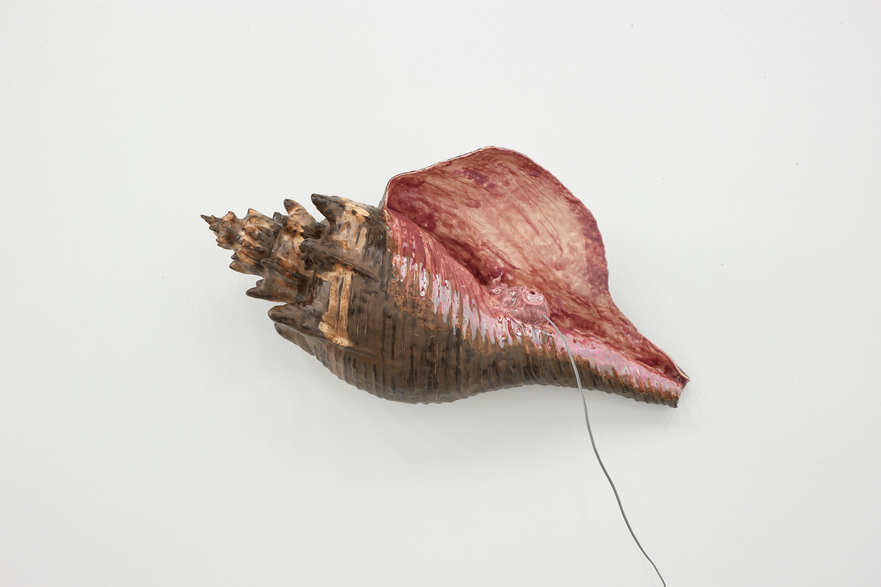 Earmouse (in seashell)